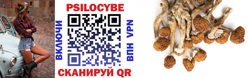 Псилоцибиновые грибы прущие грибы  Воркута 
