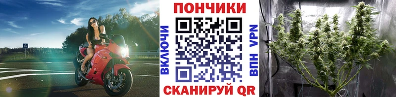 Бошки Шишки VHQ  Воркута 